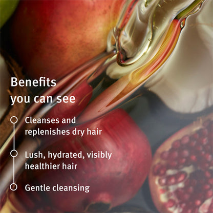 Aveda Nutriplenish Deep Hydration Shampoo for Dry & Frizzy Hair with Coconut Oil