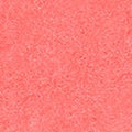 B310 - Playful Coral