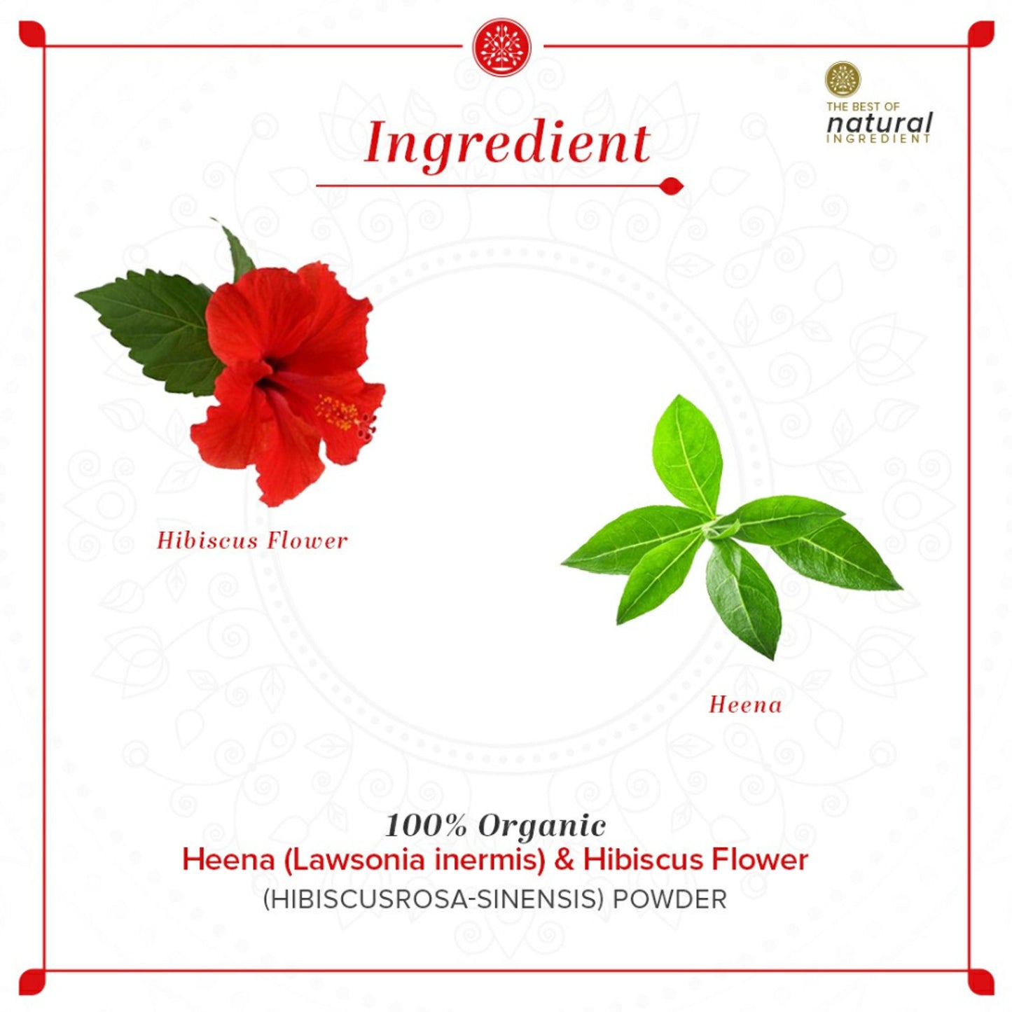 Khadi Natural Henna & Hibiscus Flower Organic Powder