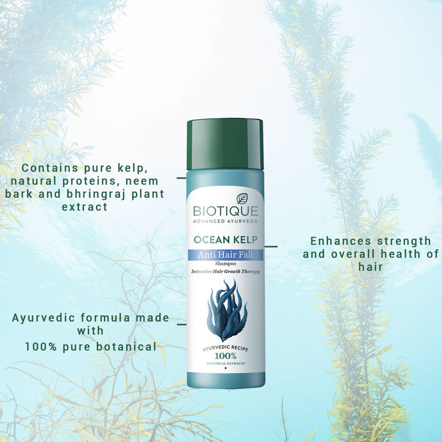 Biotique Bio Kelp Protein Shampoo for Falling Hair Growth Treatment