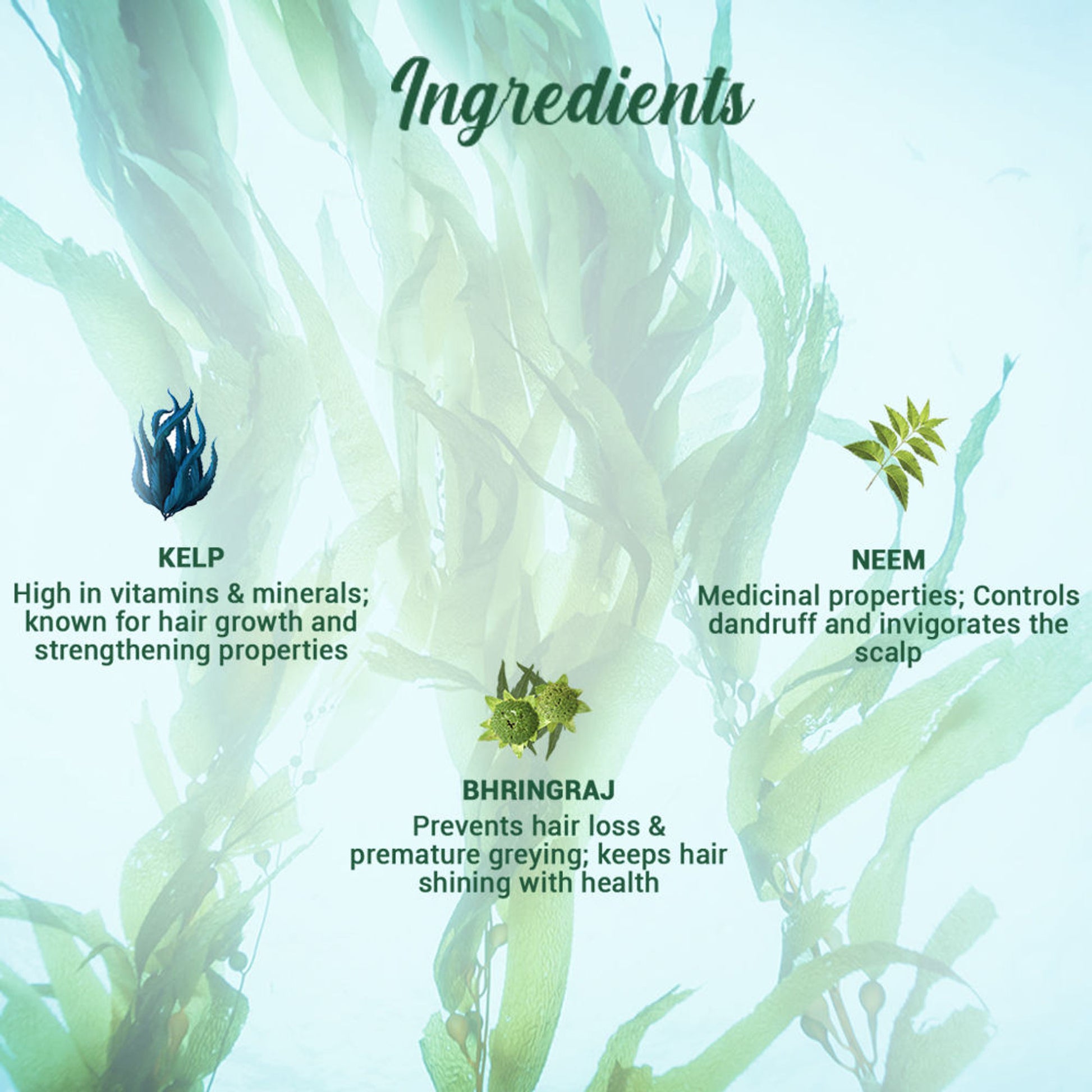 Biotique Bio Kelp Protein Shampoo for Falling Hair Growth Treatment