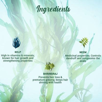 Biotique Bio Kelp Protein Shampoo for Falling Hair Growth Treatment