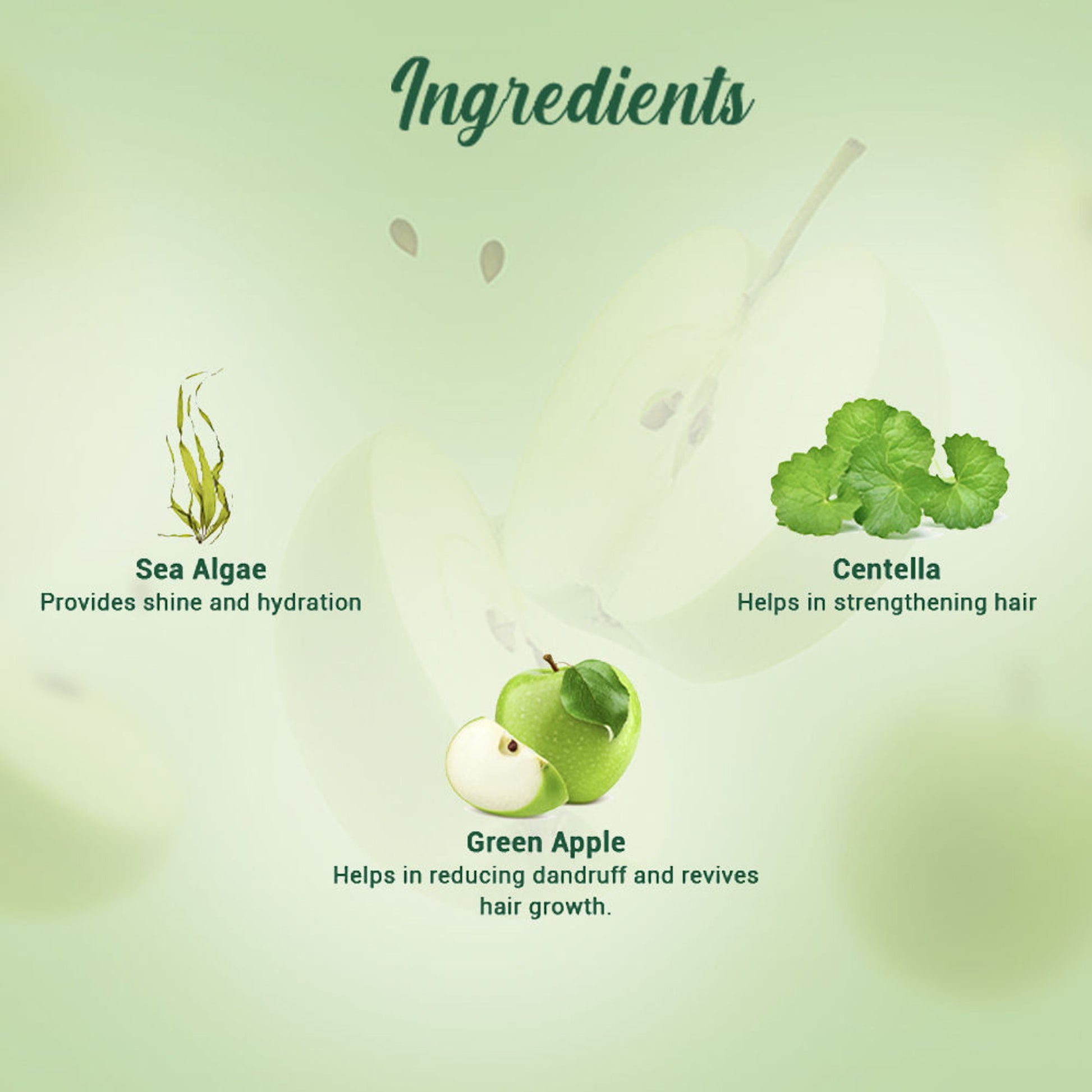 Biotique Bio Green Apple Fresh Daily Purifying Shampoo & Conditioner