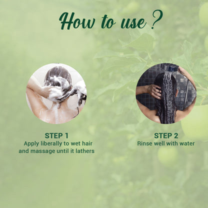 Biotique Bio Green Apple Fresh Daily Purifying Shampoo & Conditioner