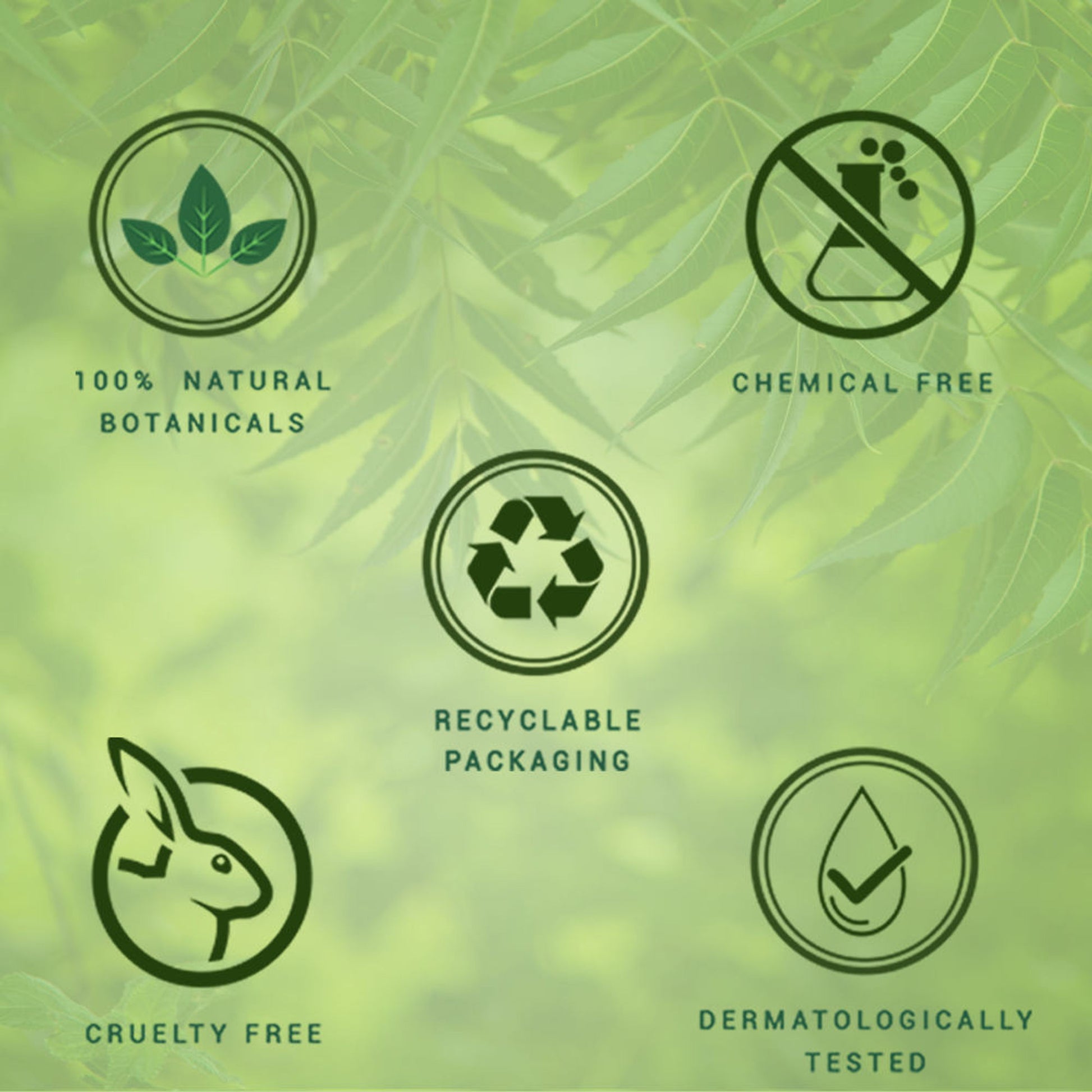 Biotique Bio Neem Margosa Anti-Dandruff Shampoo & Conditioner