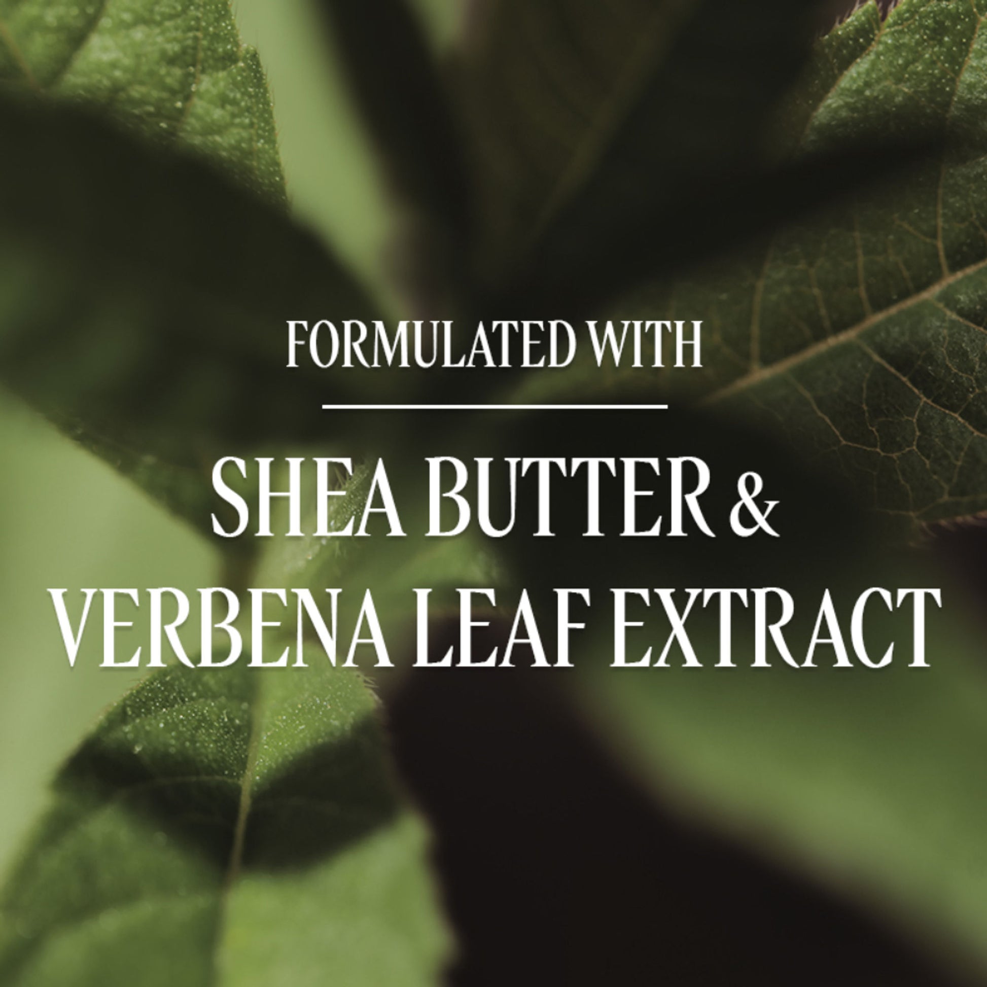 L'Occitane Extra Gentle Body Soap - Verveine (Verbena)