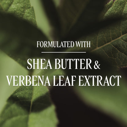 L'Occitane Extra Gentle Body Soap - Verveine (Verbena)