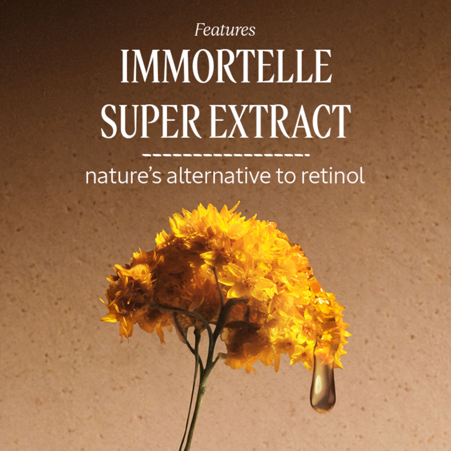 L'Occitane Immortelle Divine Cream