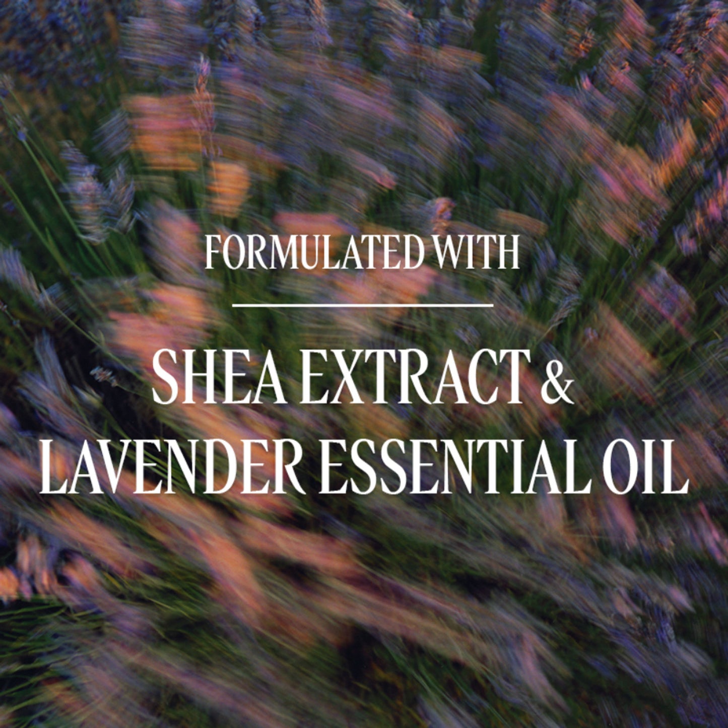L'Occitane Liquid Hand Soap Lavander
