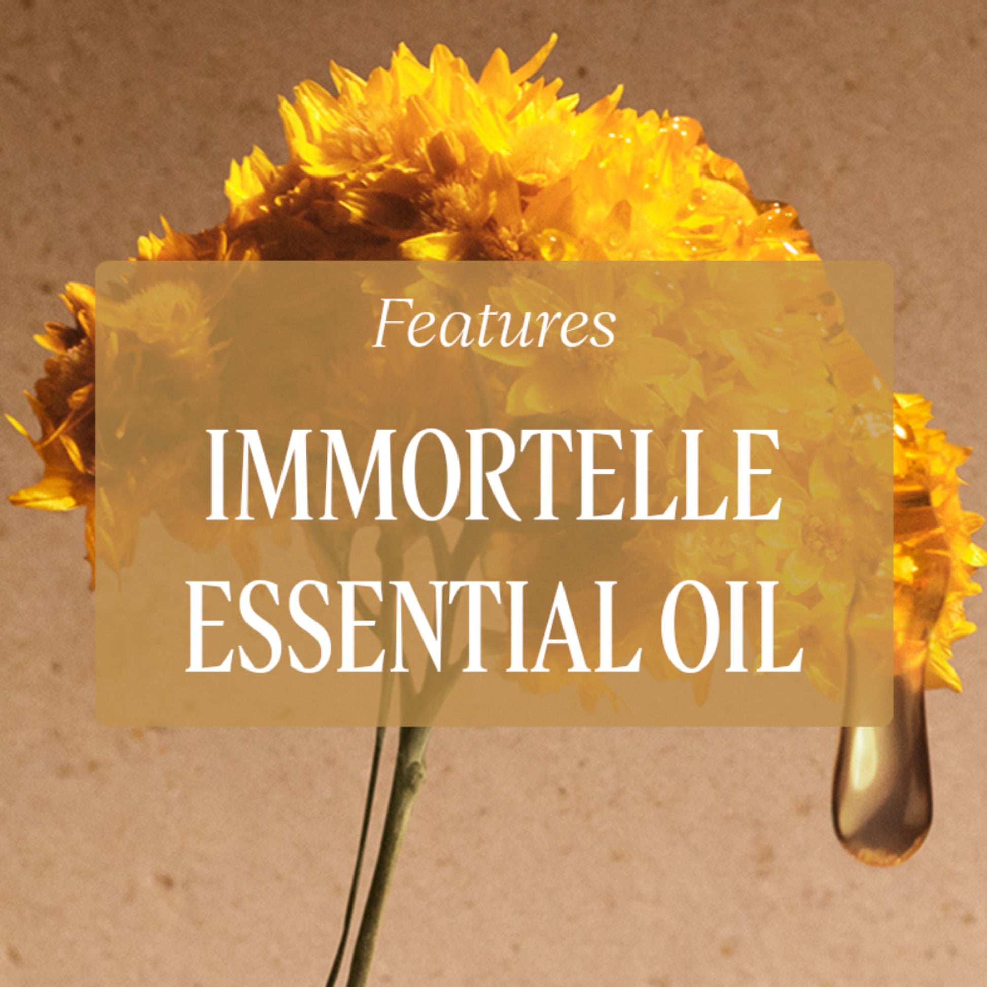 L'Occitane Immortelle Reset Triphase Essence