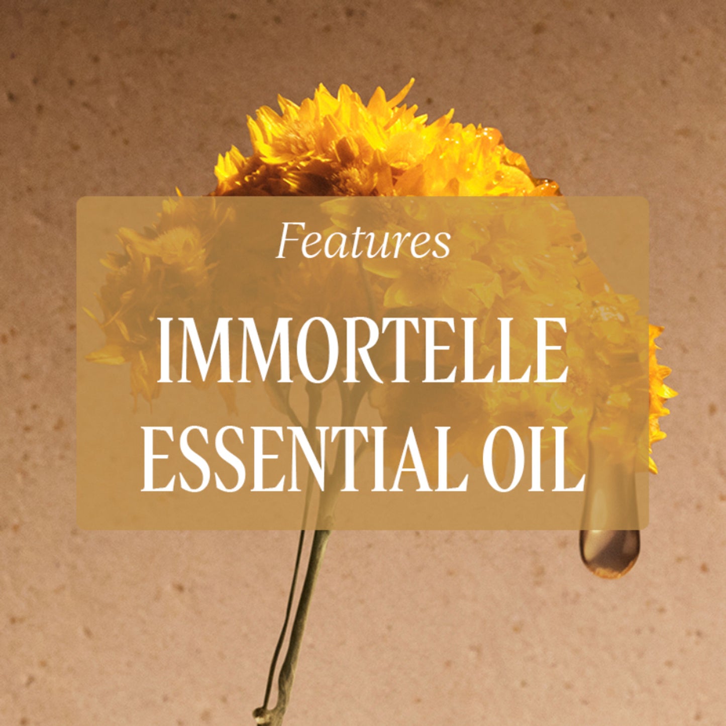 L'Occitane Immortelle Reset Triphase Essence