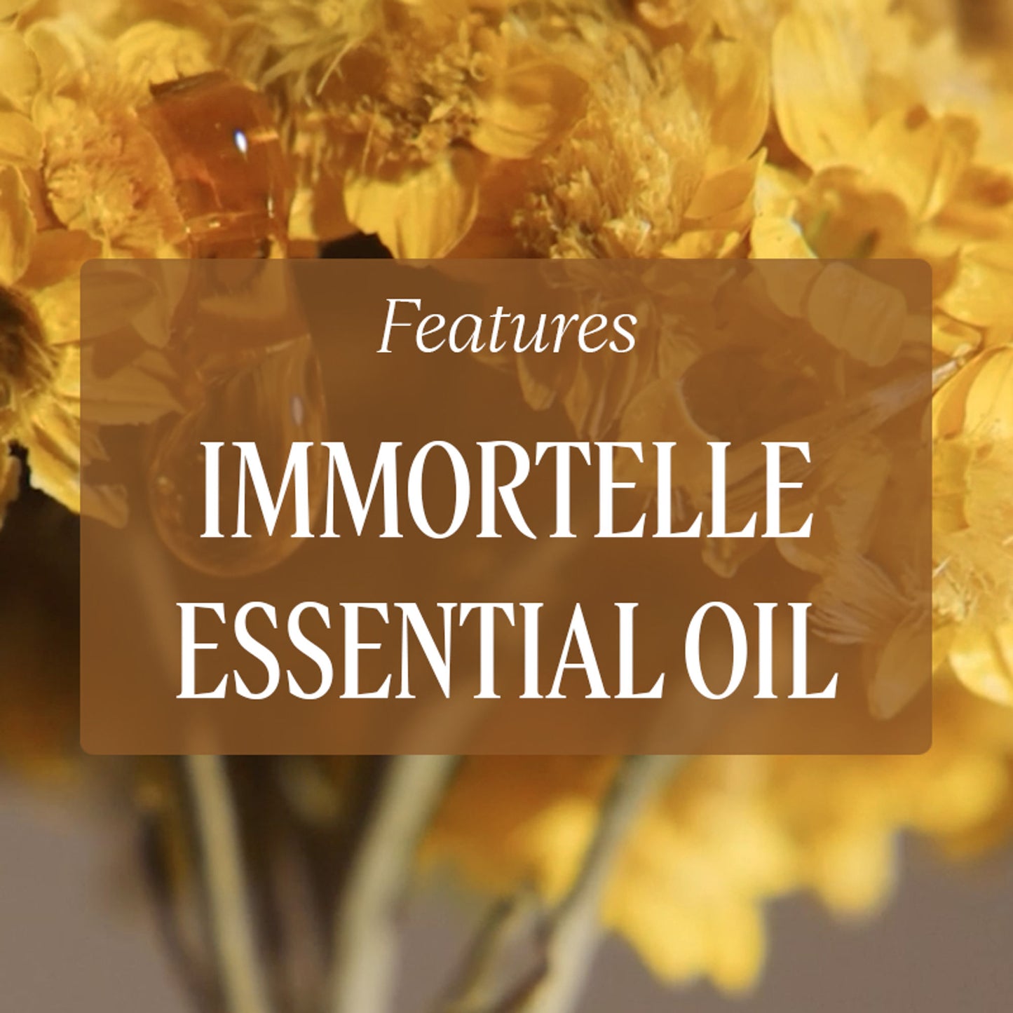 L'Occitane Immortelle Reset Serum Refill
