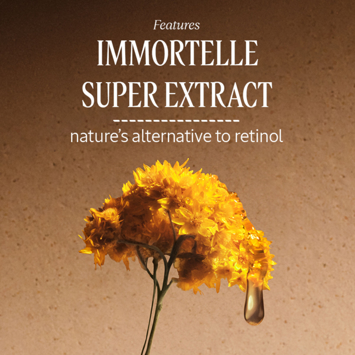 L'Occitane Immortelle Divine Youth Oil