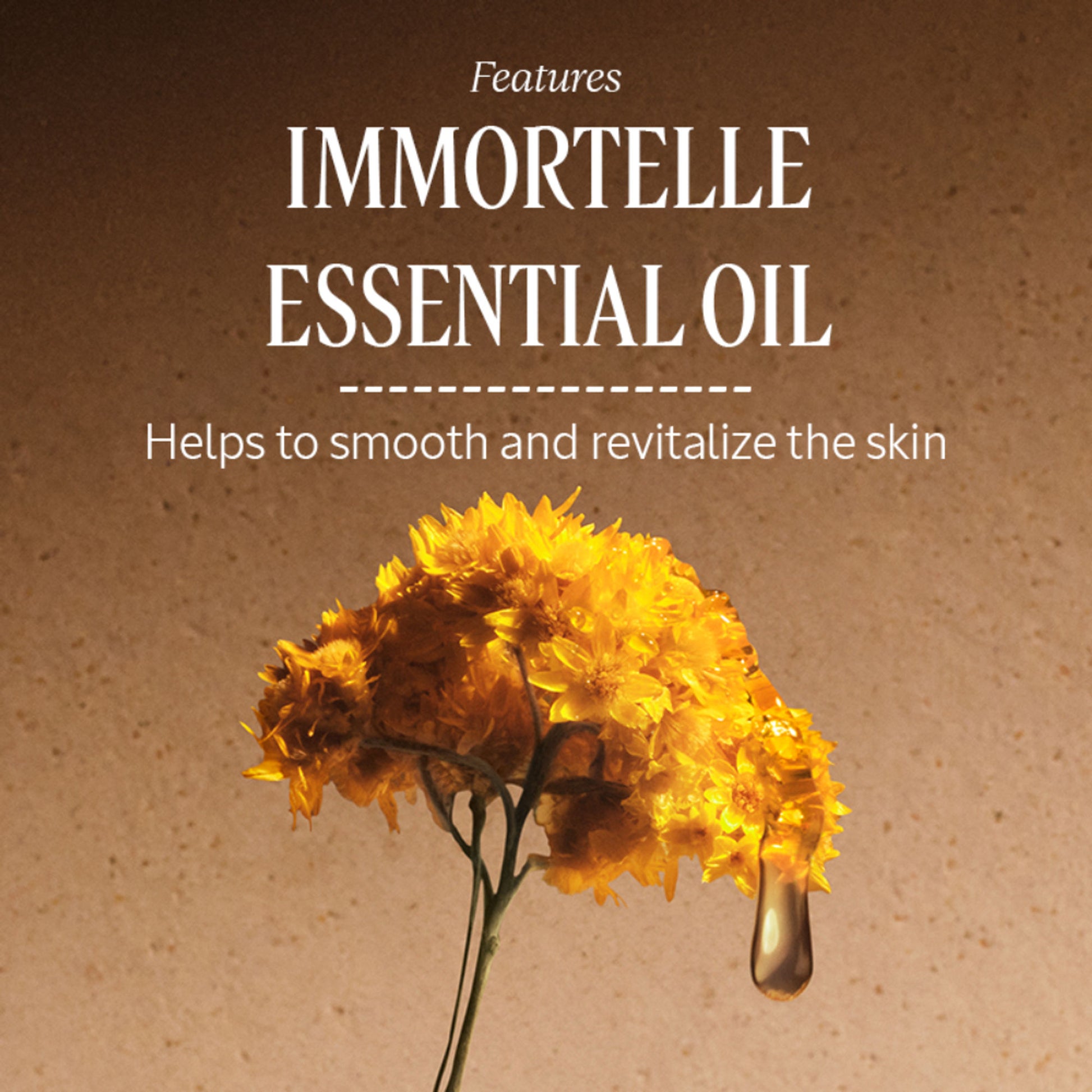 L'Occitane Immortelle Divine Foaming Cleansing Cream
