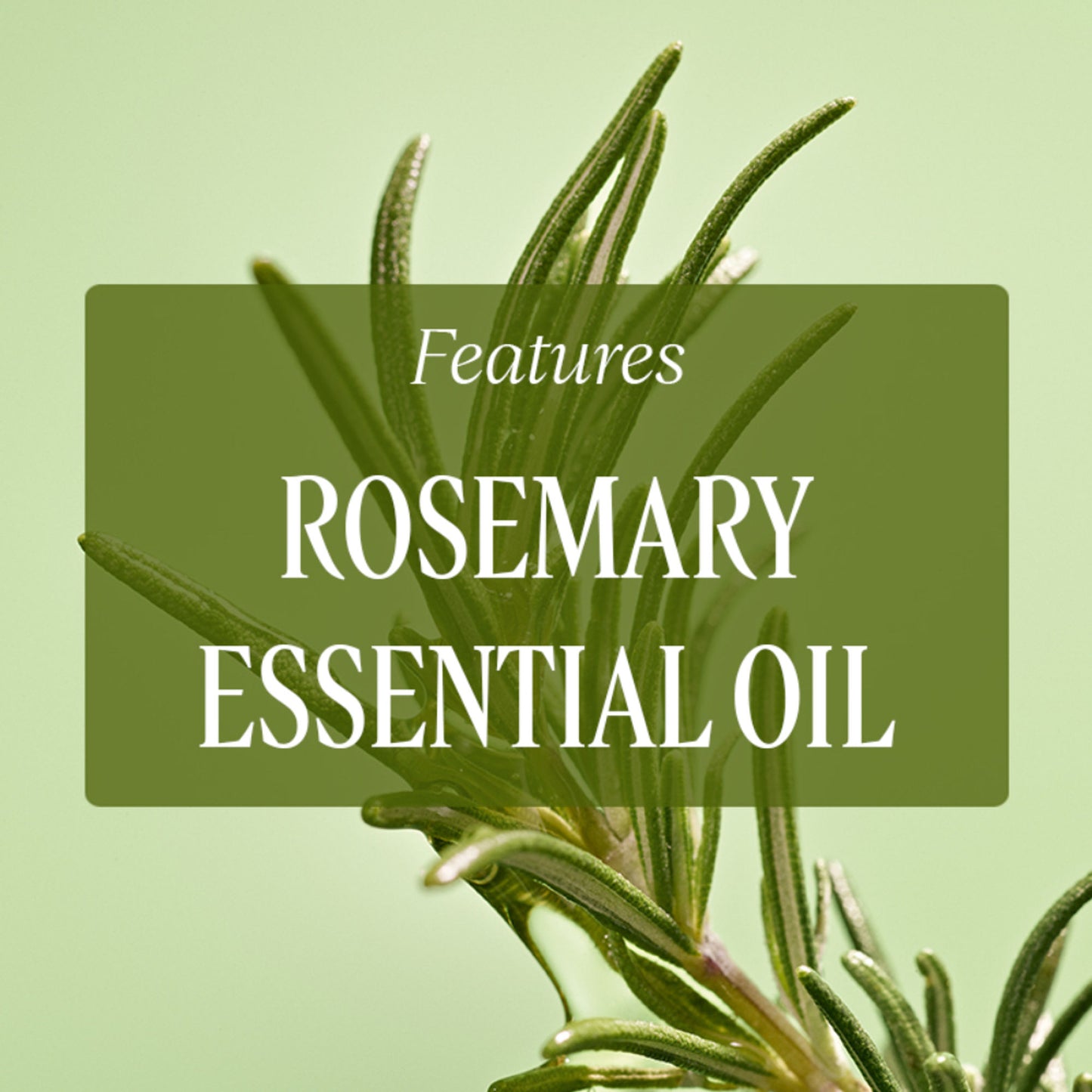 L'Occitane Anti-Hair Loss Serum