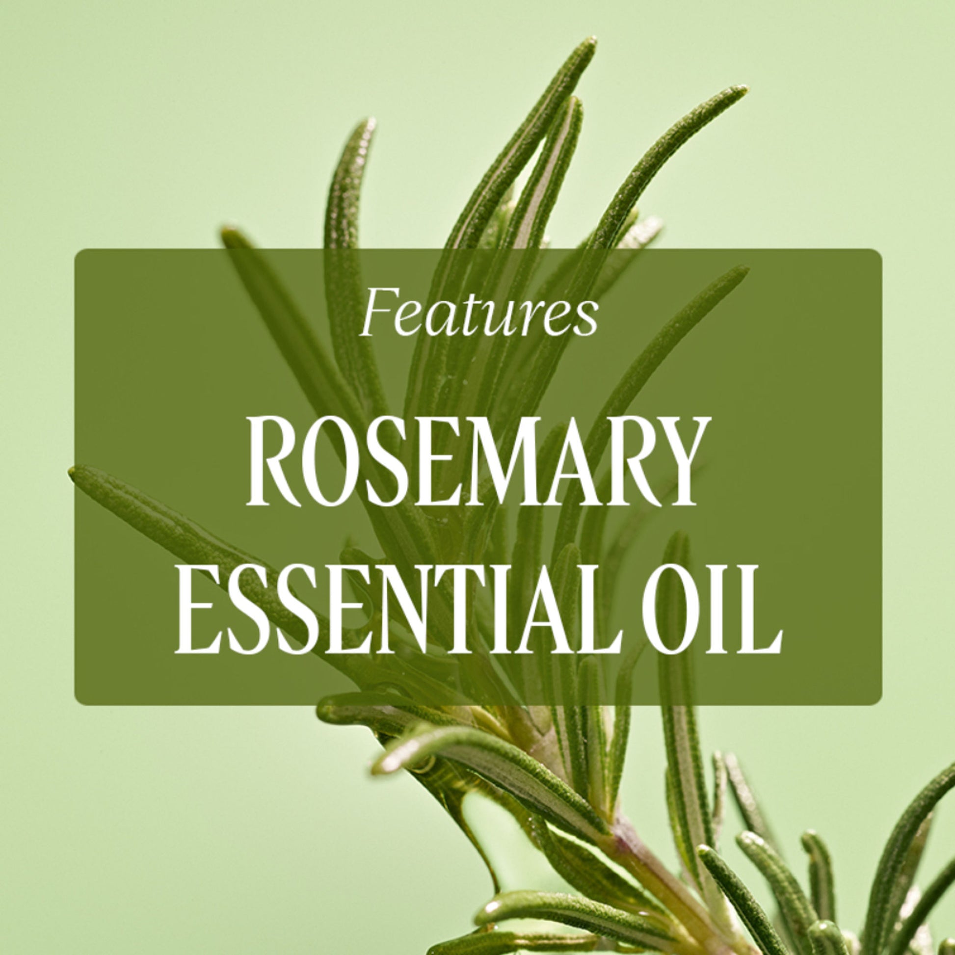 L'Occitane Anti-Hair Loss Serum