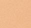 5C Medium Tan Cool