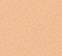 5N Medium Tan Neutral