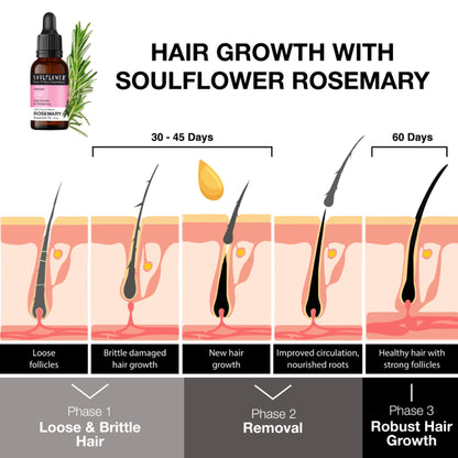 Soulflower Rosemary Essential Oil 100% Pure and Natural for Moisturising Skin, Hair Nourishment