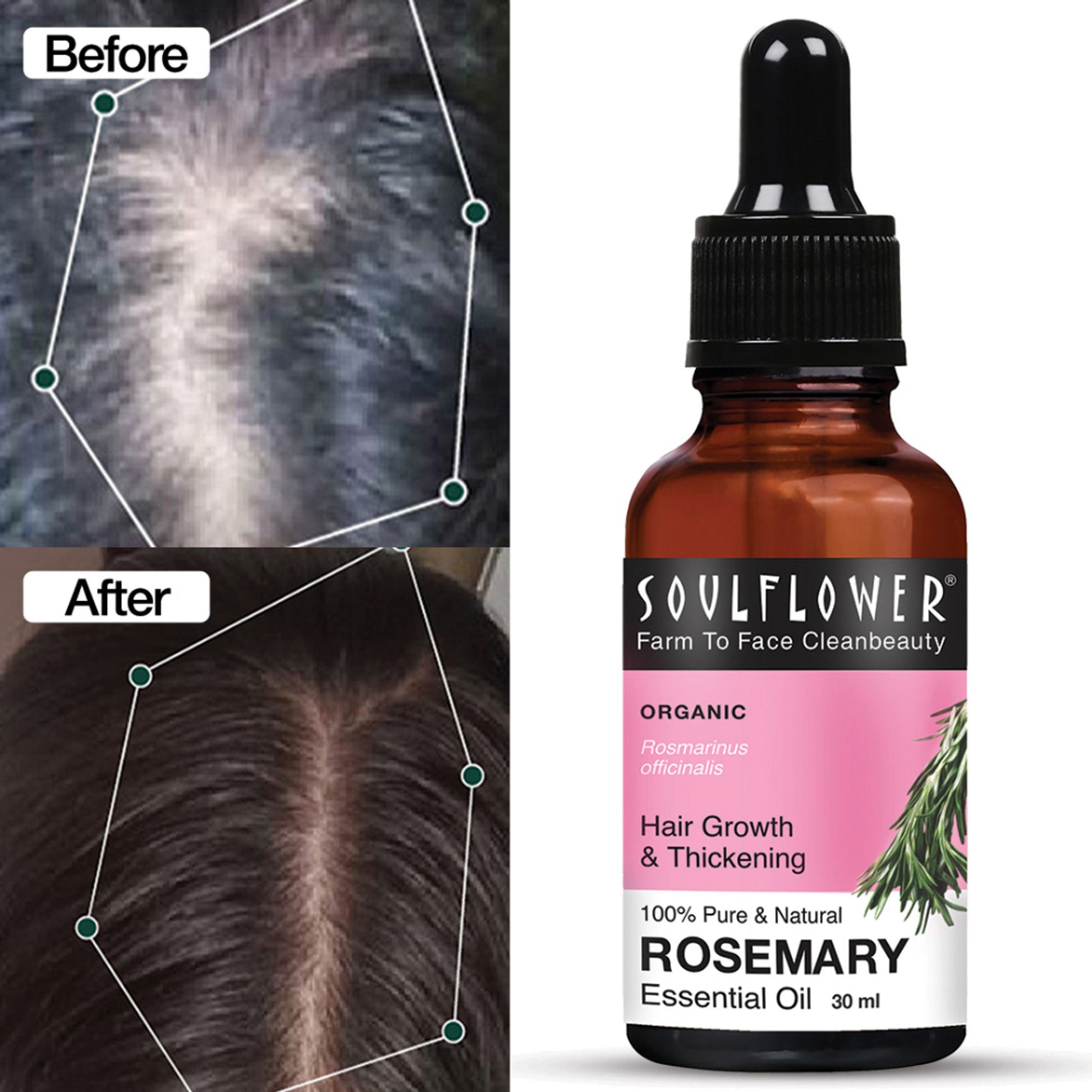 Soulflower Rosemary Essential Oil 100% Pure and Natural for Moisturising Skin, Hair Nourishment