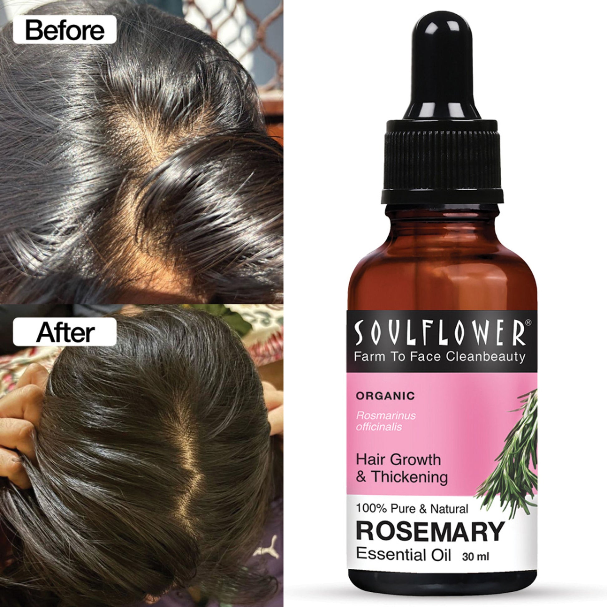 Soulflower Rosemary Essential Oil 100% Pure and Natural for Moisturising Skin, Hair Nourishment