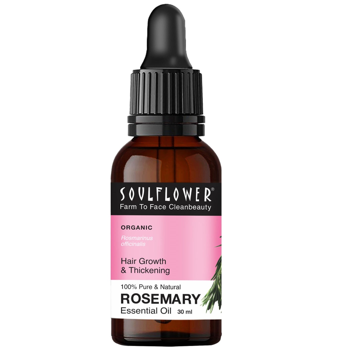 Soulflower Rosemary Essential Oil 100% Pure and Natural for Moisturising Skin, Hair Nourishment