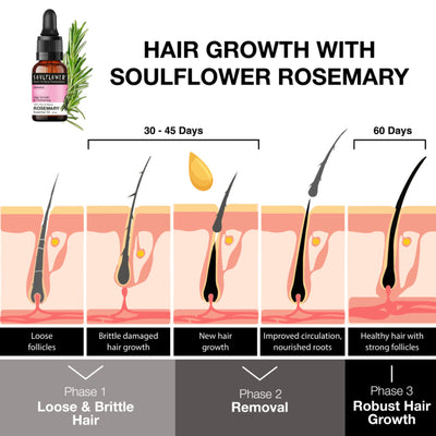 Soulflower Rosemary Essential Oil 100% Pure and Natural for Moisturising Skin, Hair Nourishment