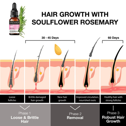 Soulflower Rosemary Essential Oil 100% Pure and Natural for Moisturising Skin, Hair Nourishment