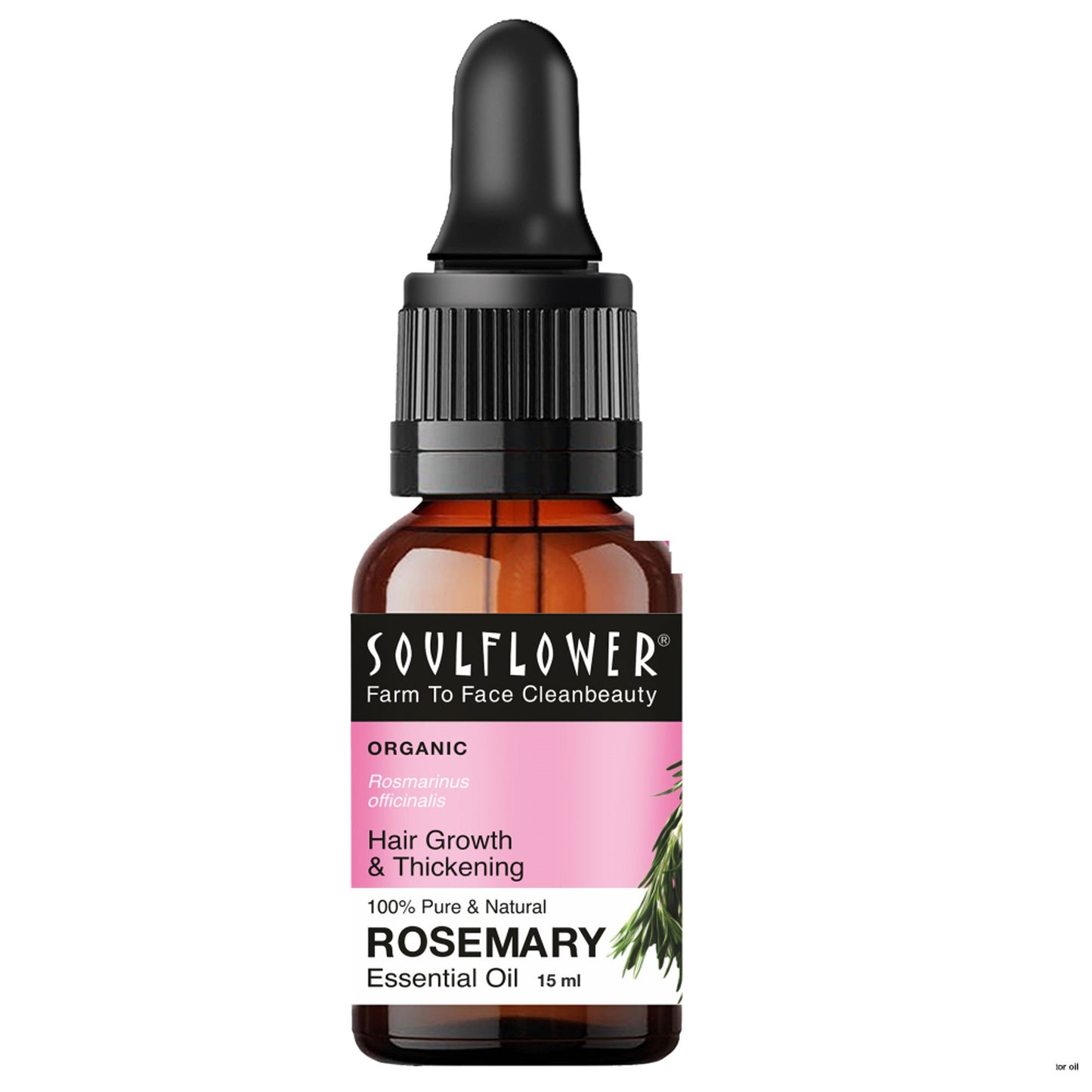 Soulflower Rosemary Essential Oil 100% Pure and Natural for Moisturising Skin, Hair Nourishment