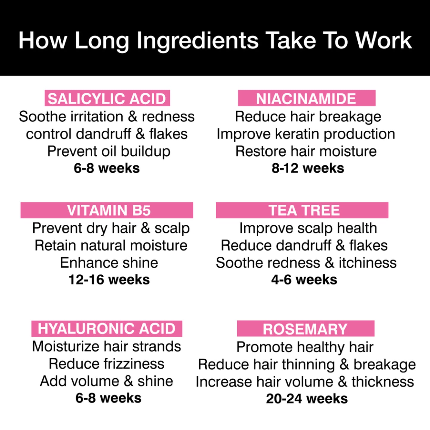 Soulflower Rosemary Tea Tree Anti-Hairfall Shampoo, Sulphate & Paraben Free, Reduces Split-Ends