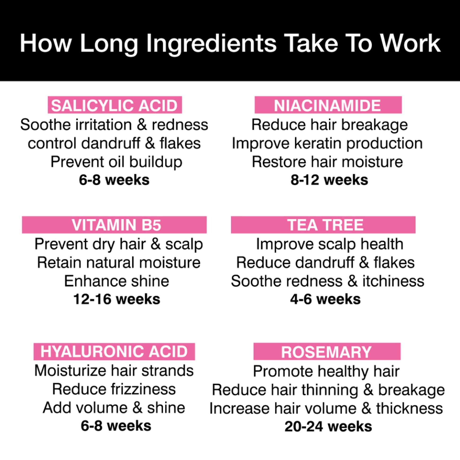 Soulflower Rosemary Tea Tree Anti-Hairfall Shampoo, Sulphate & Paraben Free, Reduces Split-Ends