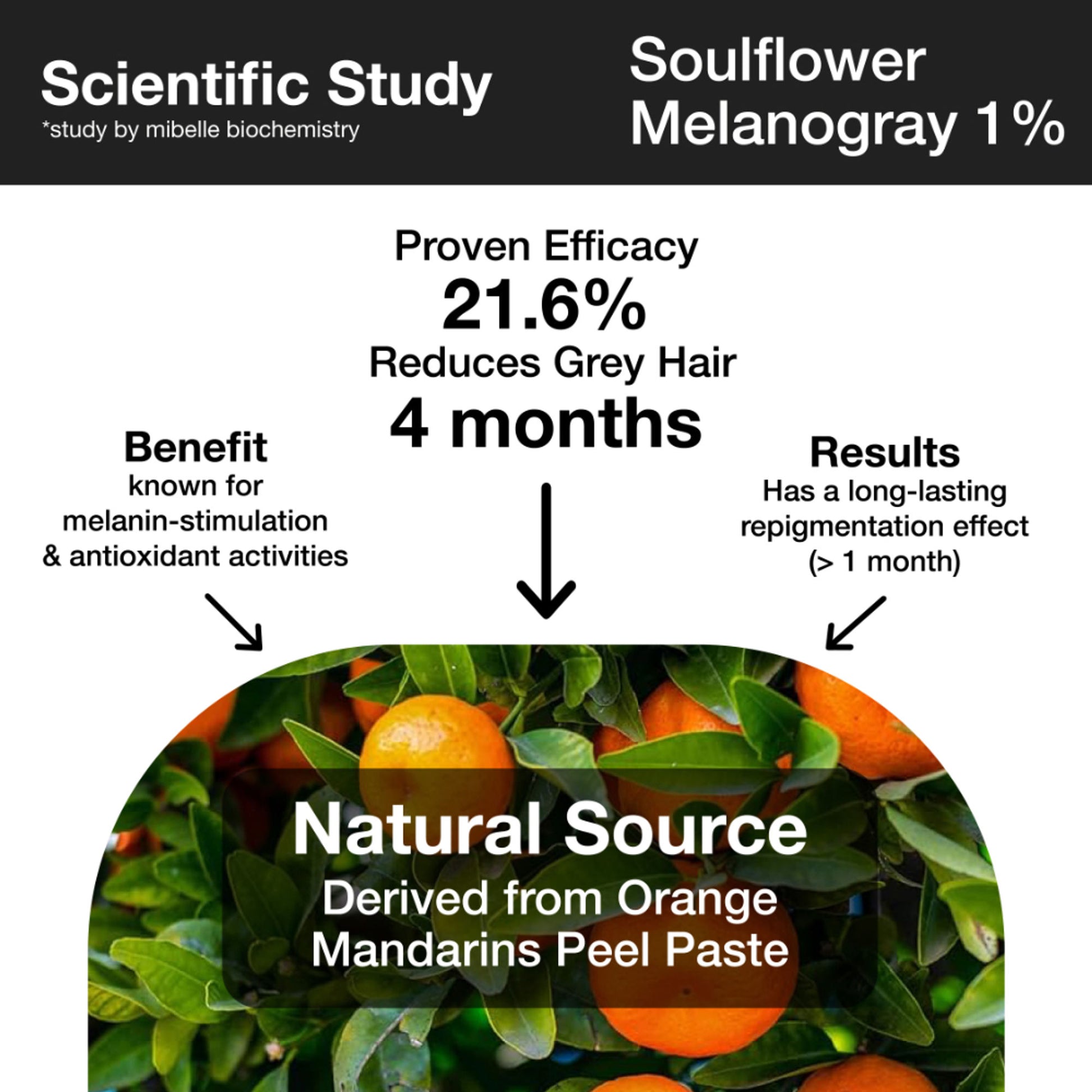 Soulflower Hair Growth Serum - Redensyl, Rosemary, Melanogray, Anagain - Anti Greying Booster