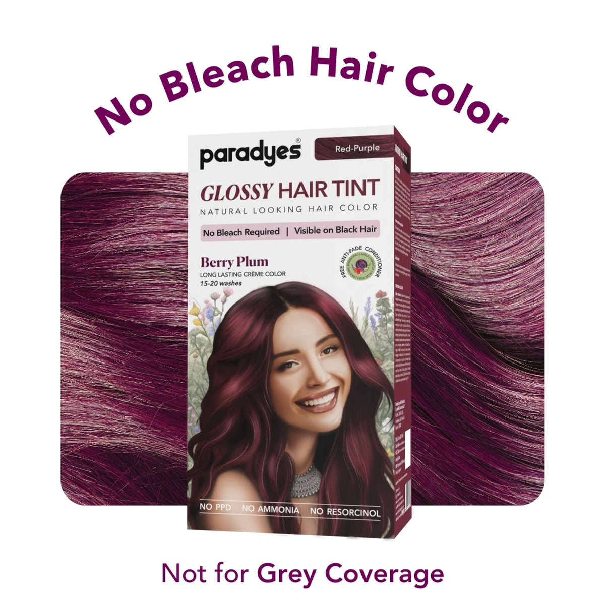 Paradyes Glossy Hair Tint Semi-Permanent Creme Hair Color - Berry Plum