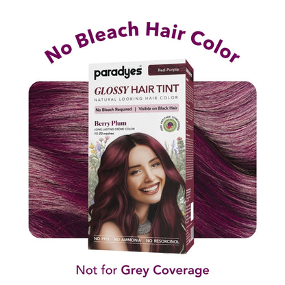Paradyes Glossy Hair Tint Semi-Permanent Creme Hair Color - Berry Plum