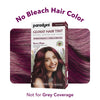 Paradyes Glossy Hair Tint Semi-Permanent Creme Hair Color - Berry Plum