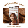 Paradyes Glossy Hair Tint Semi-Permanent Creme Hair Color - Cinnamon Brown