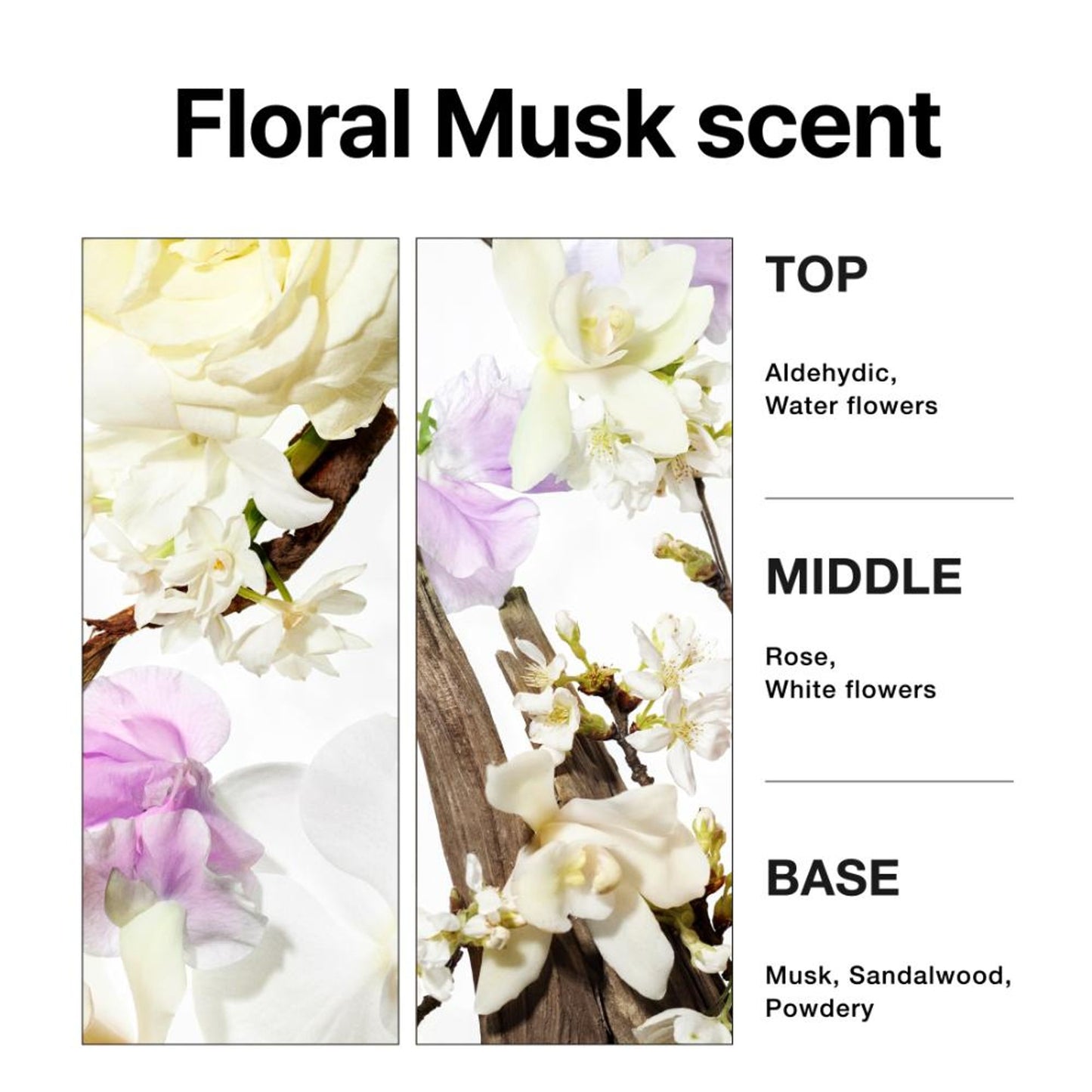 mise en scene Perfect Serum Styling Shampoo