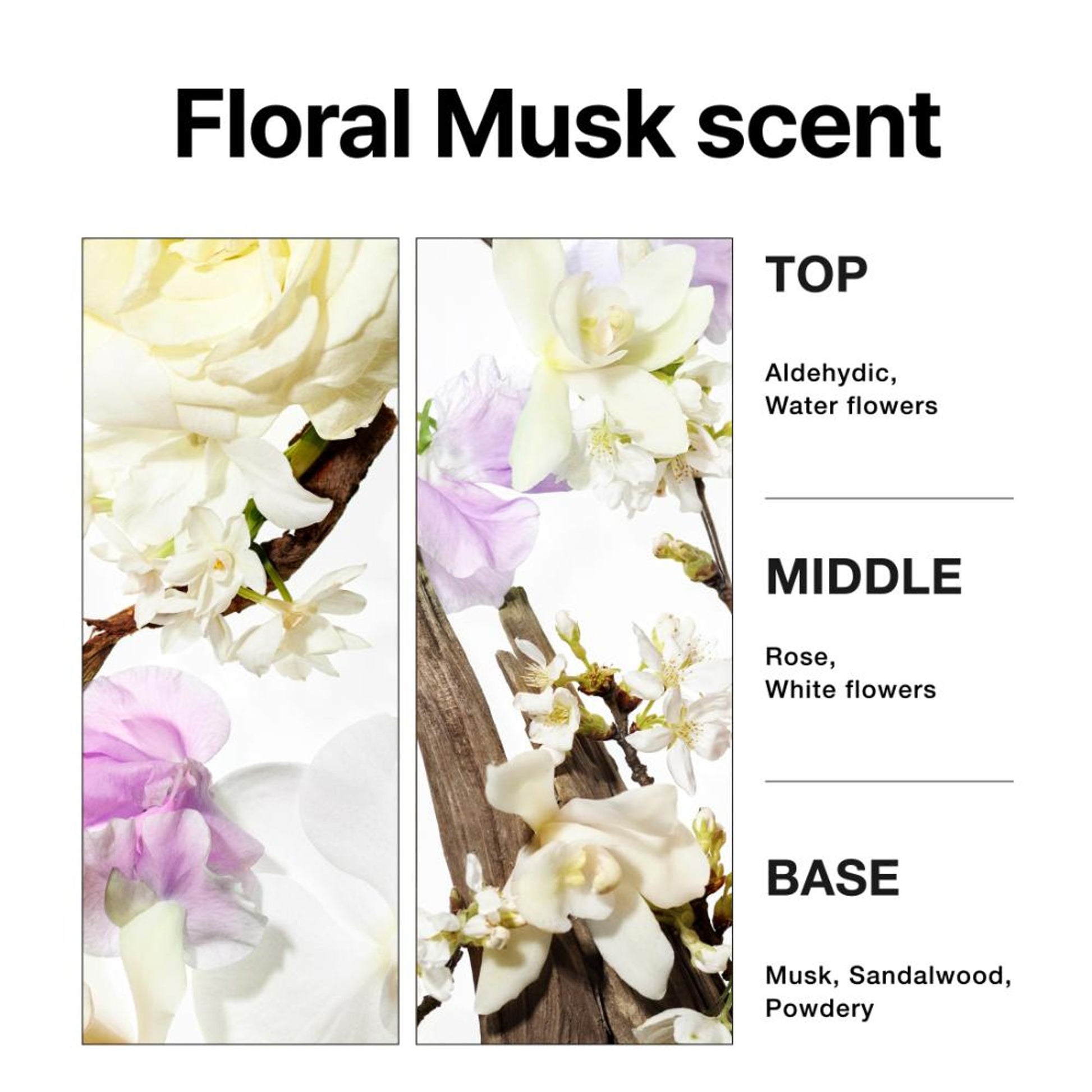 mise en scene Perfect Serum Styling Shampoo
