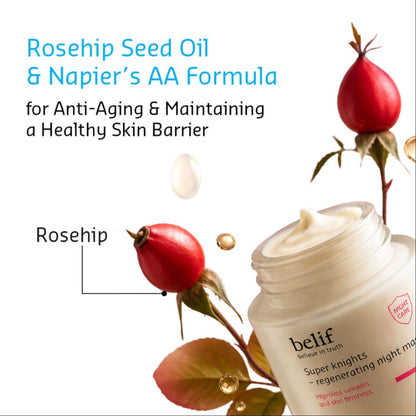 belif Super Knights Korean Regenerating Sleeping Mask-Vegan Night Cream for Anti Aging & Brightening