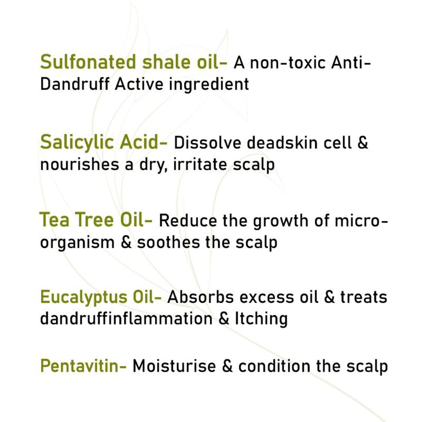 Keya Seth Aromatherapy Scalp Care Dandruff Removal Shampoo
