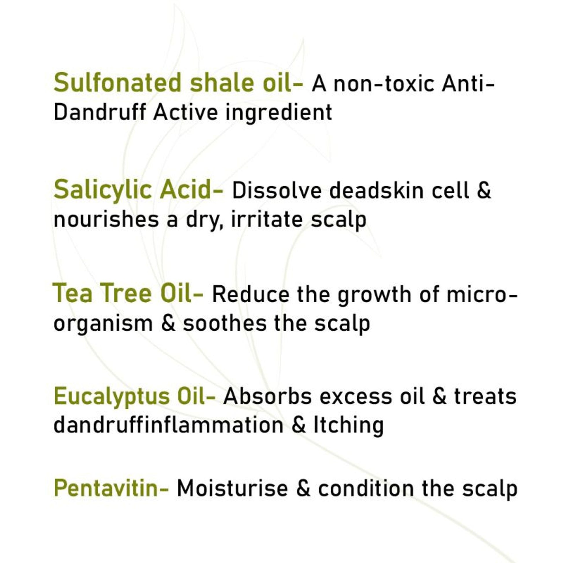 Keya Seth Aromatherapy Scalp Care Dandruff Removal Shampoo