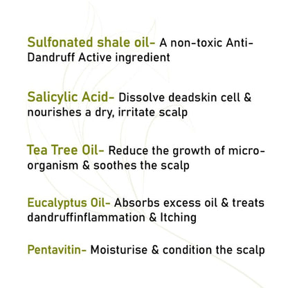 Keya Seth Aromatherapy Scalp Care Dandruff Removal Shampoo