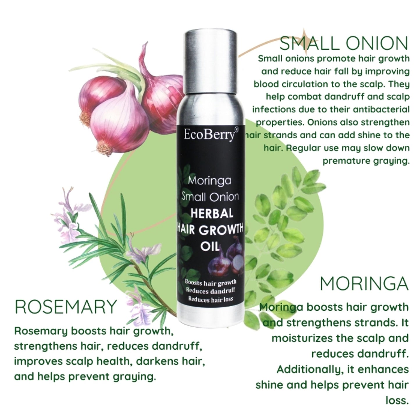Ecoberry Moringa Small Onion Herbal Hair Growth Oil