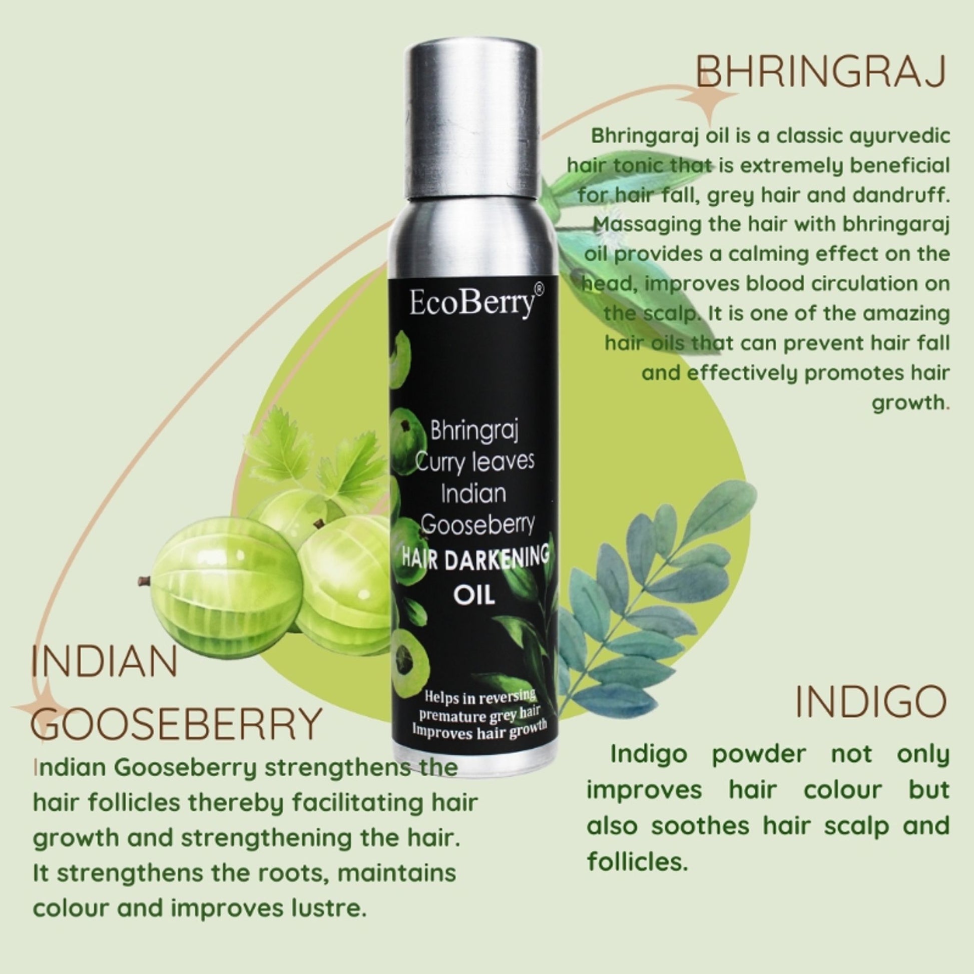 Ecoberry Hair Oil - with Bhringaraj Curry Leaves Indian Gooseberry for Hair Darkening