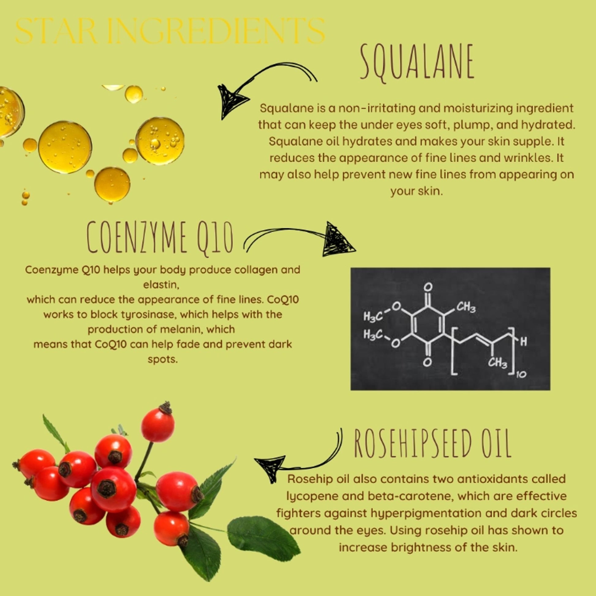 Ecoberry Squalane Coenzyme Q10 Under Eye Serum