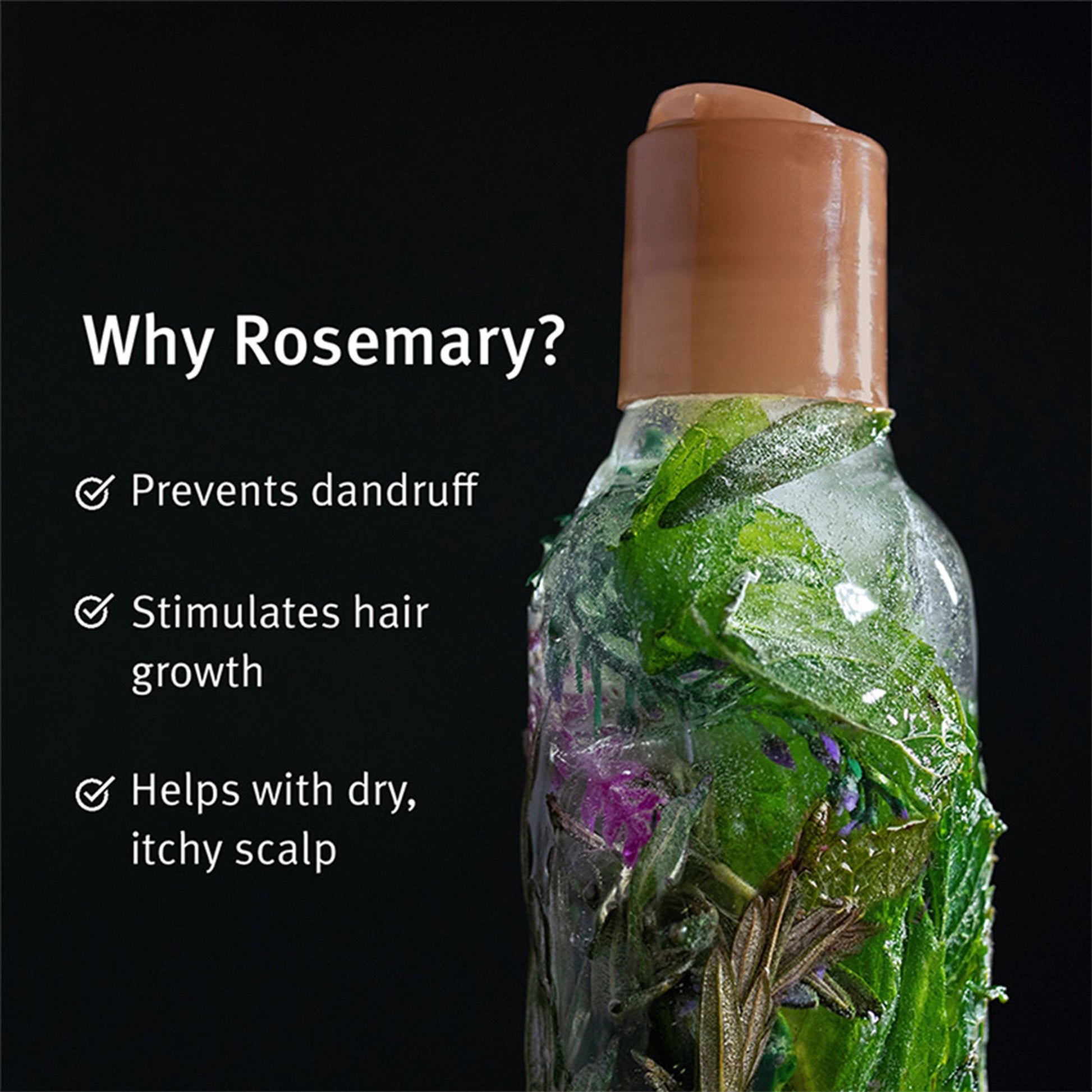 Aveda Rosemary Mint Weightless Conditioner for Hair Growth