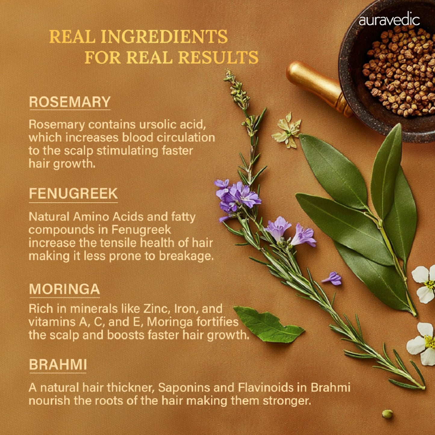 Auravedic Rosemary Hair Oil for Hair Fall with Rosemary Oil for Hair Growth
