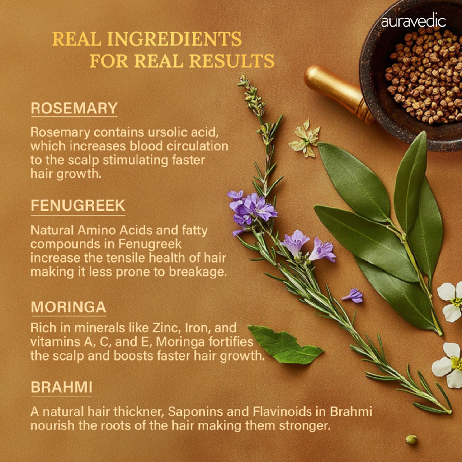 Auravedic Rosemary Hair Oil for Hair Fall with Rosemary Oil for Hair Growth