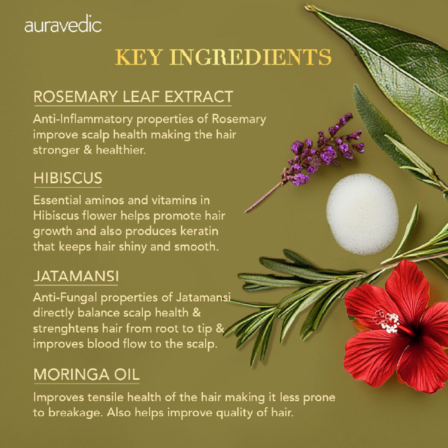 Auravedic Rosemary Shampoo For Hair Growth Anti Hair fall control shampoo