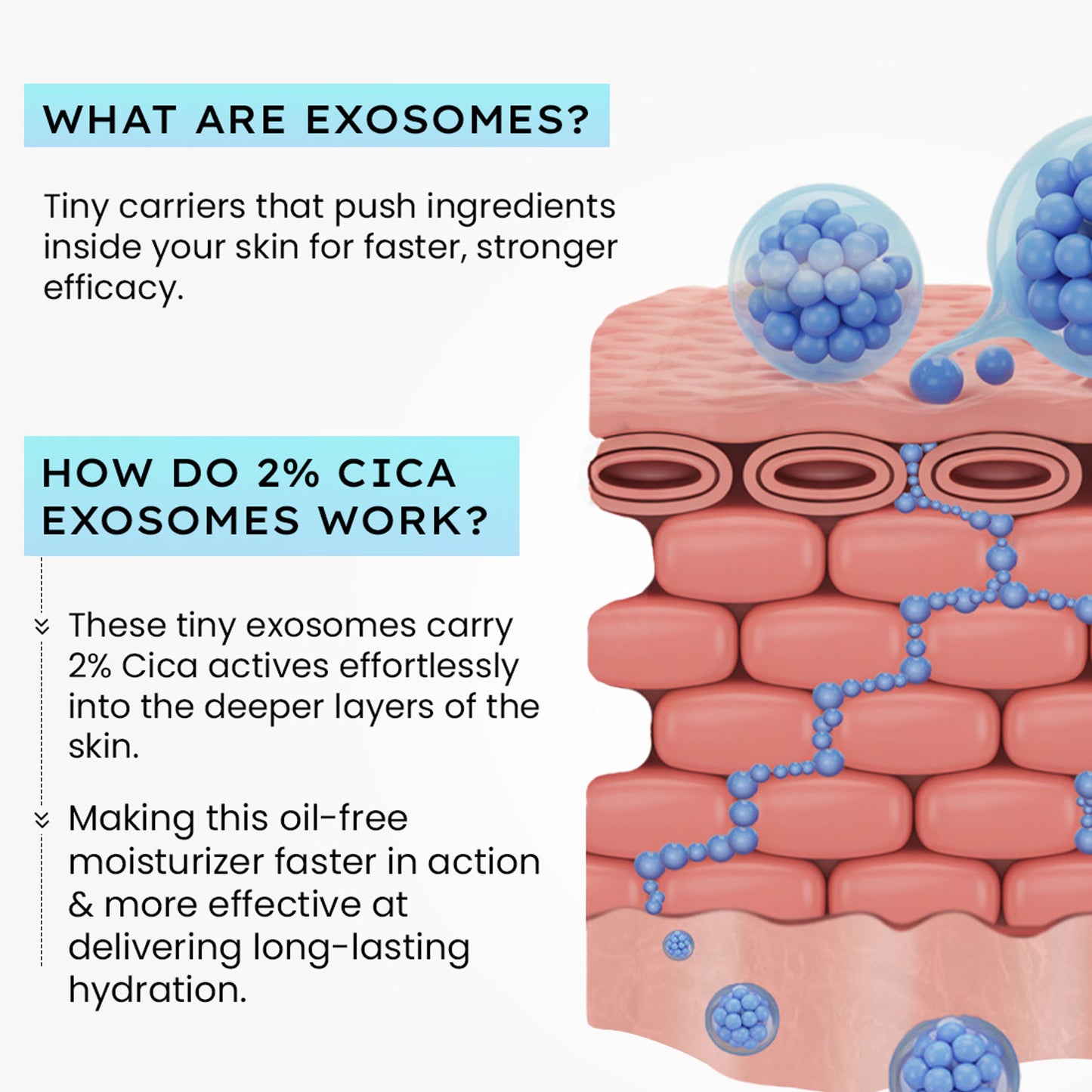 Hyphen 2% Cica Exosome Oil-Free Moisturizer 5% Niacinamide Controls Oil Non-sticky, Light Gel